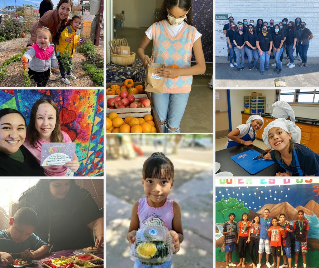 The PdNHF awarded over $1M in grants to support nutrition and cooking education, nutritious meals, and gardens for healthier living in the border region. More info: pdnhf.org