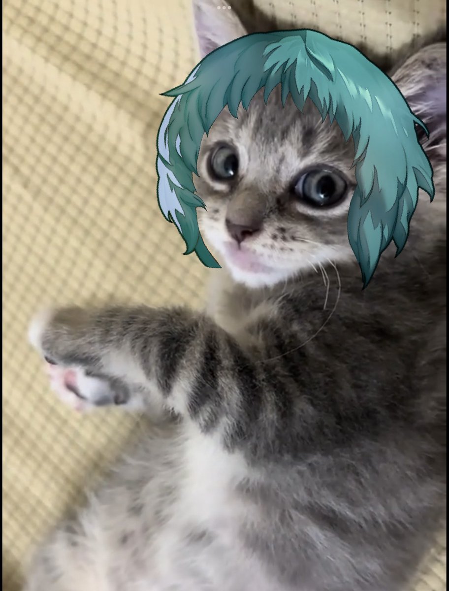 Xeeoh (@xeeohcomm) on Twitter photo 