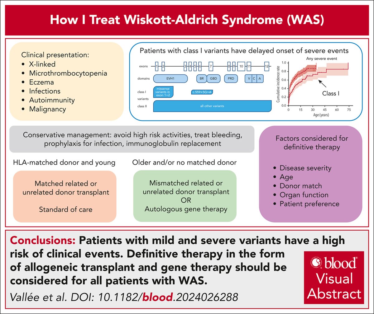 How I treat Wiskott-Aldrich syndrome
ow.ly/8yua50WmijX #HowITreat #genetherapy #immunobiologyandimmunotherapy #plateletsandthrombopoiesis #transplantation