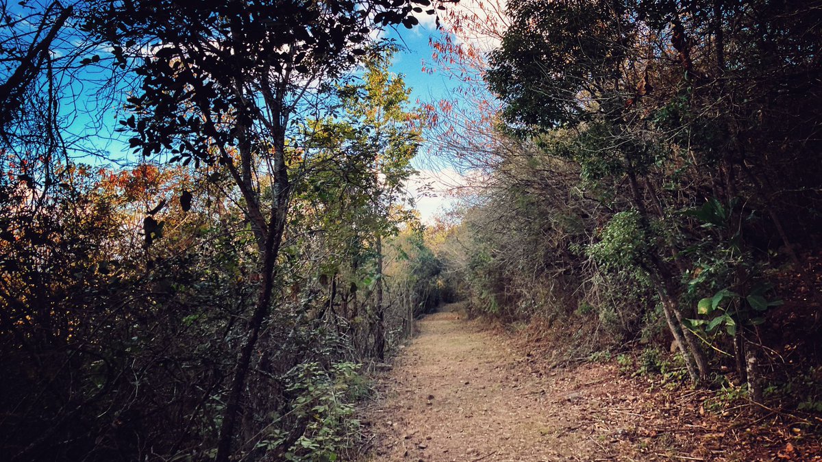Took a stroll. Pondered mysteries.