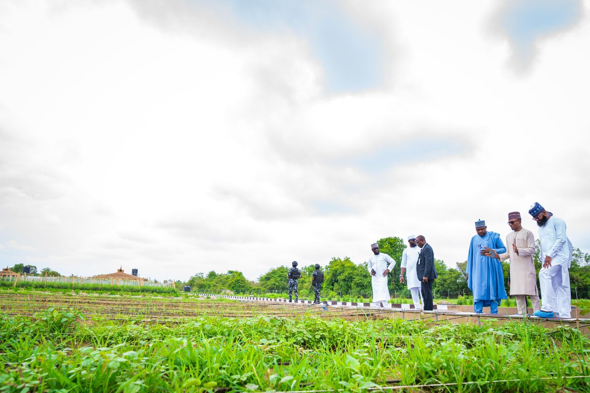 I visited the Centre for Dryland Agriculture at BUK, where I toured the Plant Tissue Culture Lab and integrated farm.

I was impressed by the innovative work, from the micropropagation of banana, sweet potato (OFSP), and indigenous trees, to the well-coordinated, sustainable farm