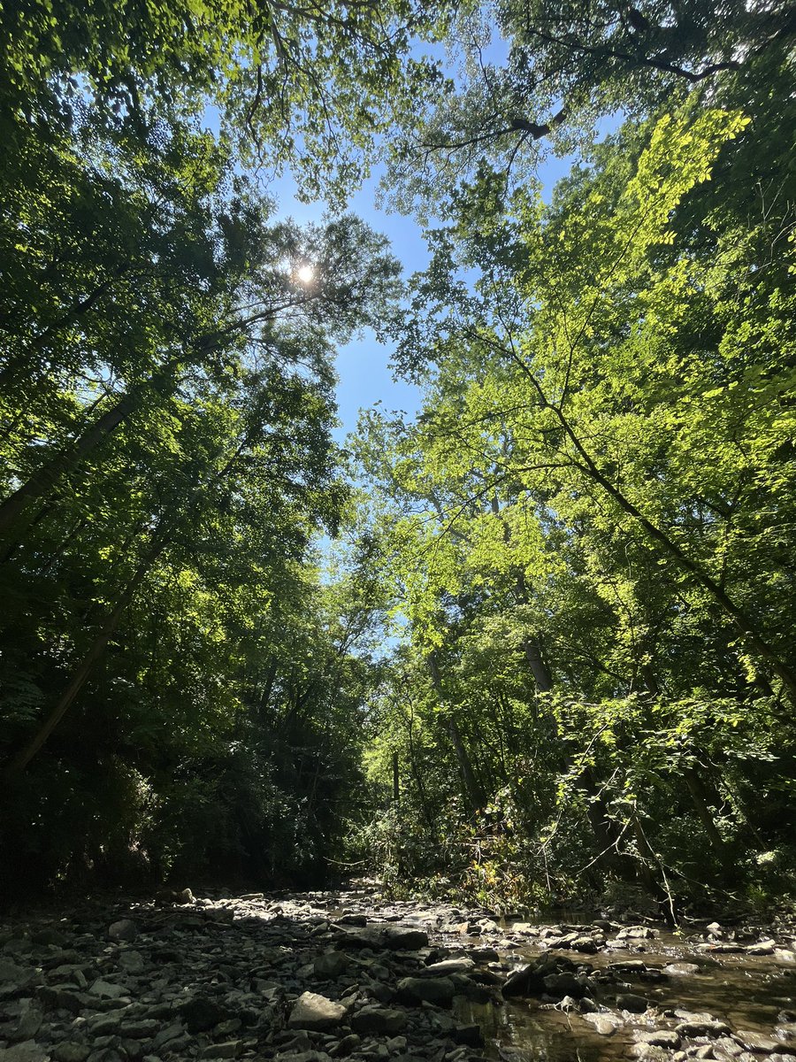 _gingeralee's tweet image. Love me some Ohio 🌳