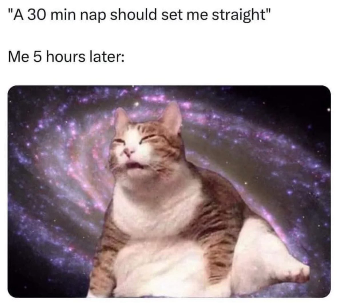 RespectfulMemes's tweet photo. https://t.co/wKARs2wz5O