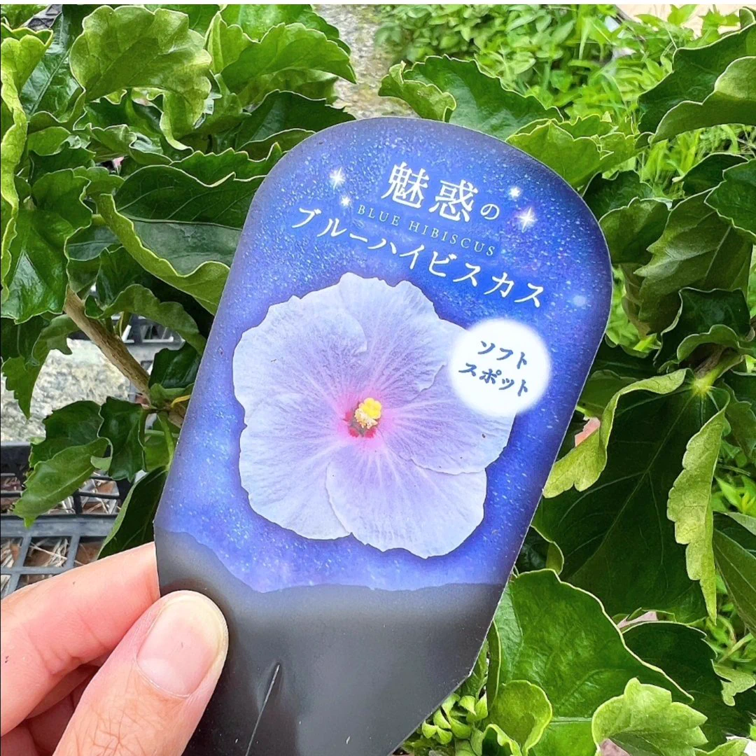 園芸ネット on X: 