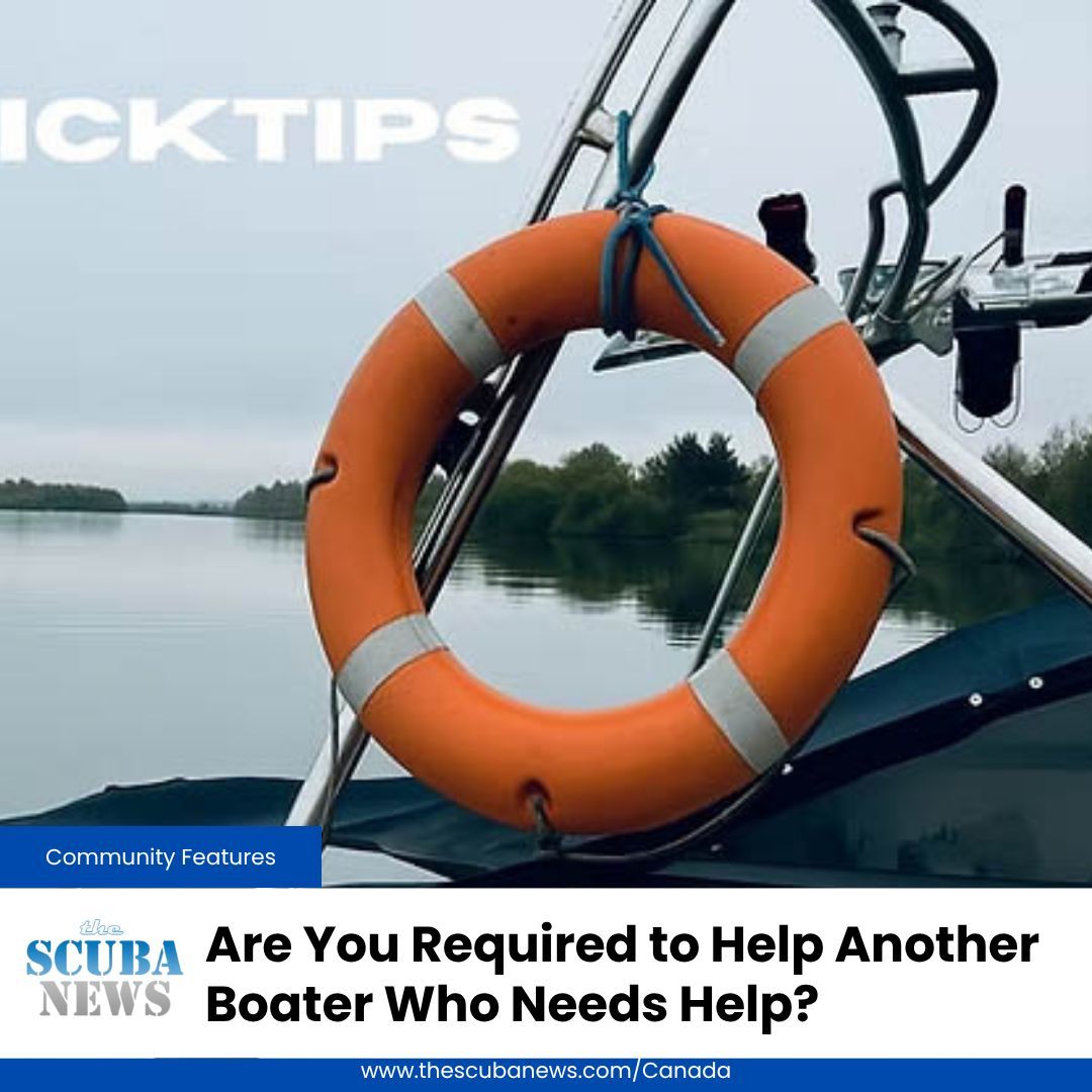 The answer to this question is complicated - Let's find out more...

🤿 👉  buff.ly/aeXE4KZ