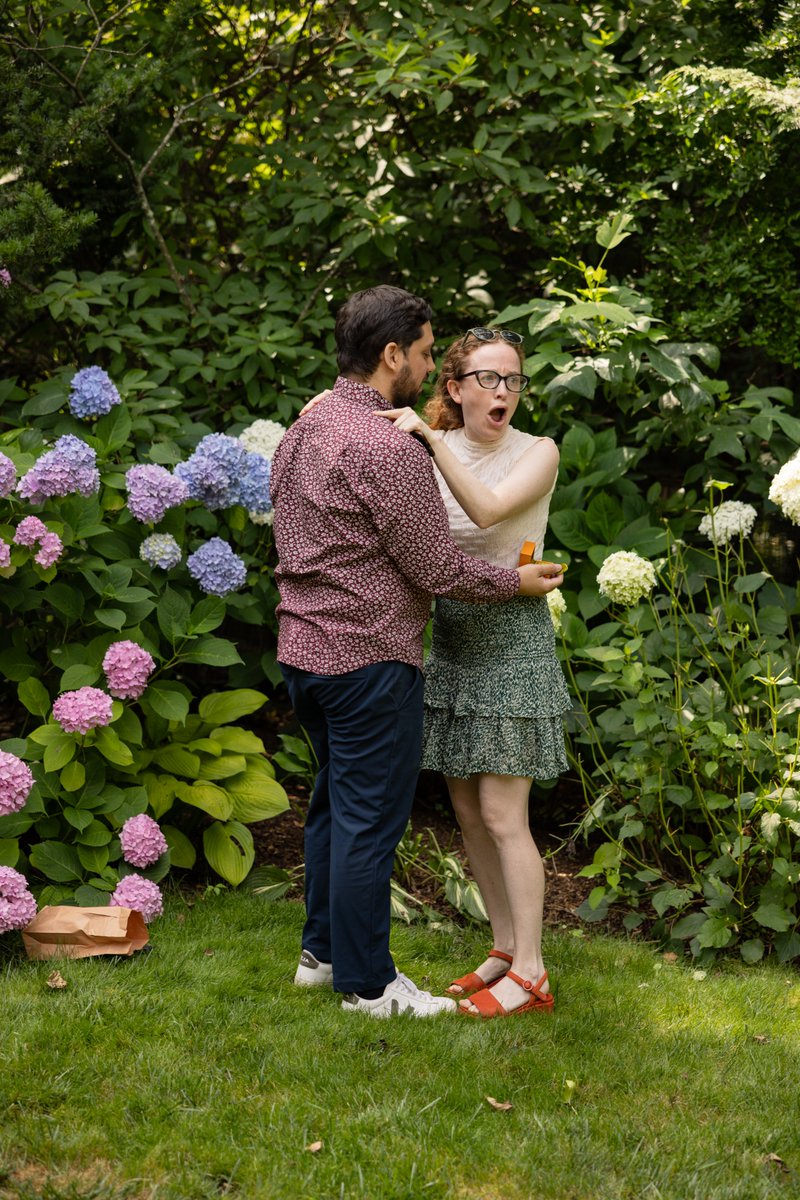 laurence pevsner tweet media