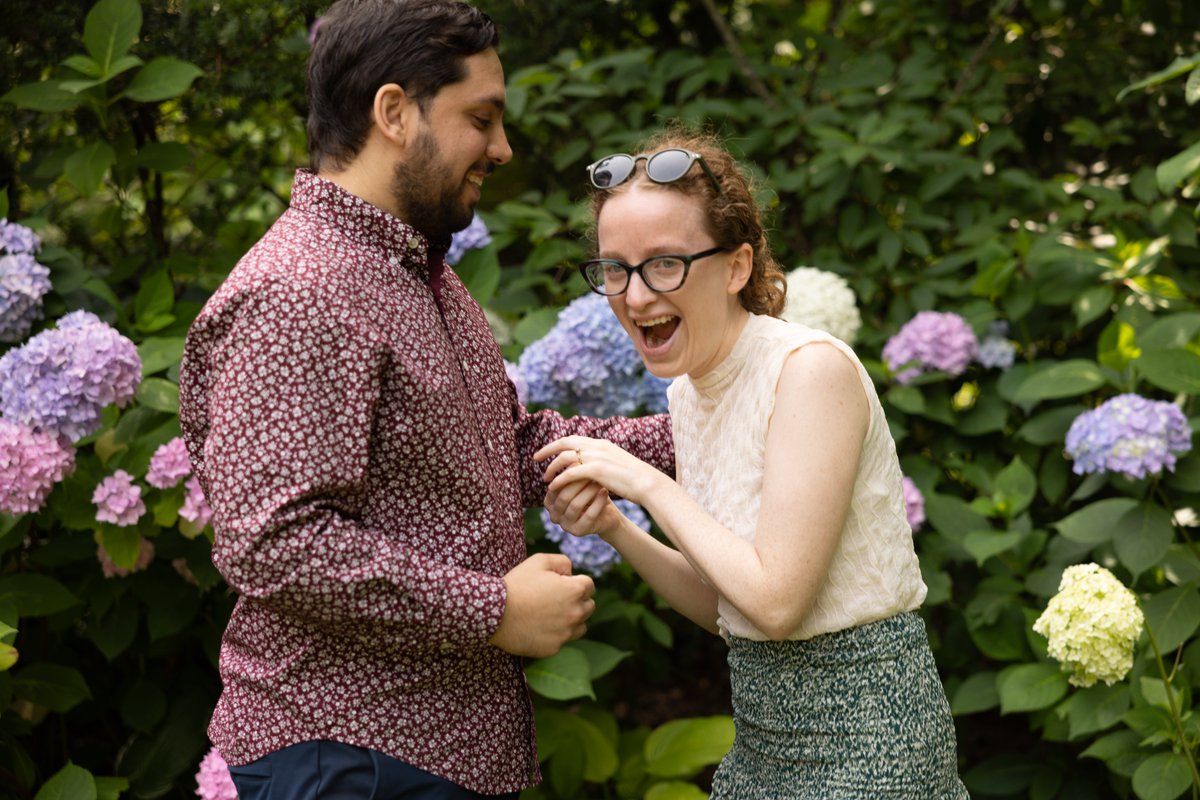 laurence pevsner tweet media