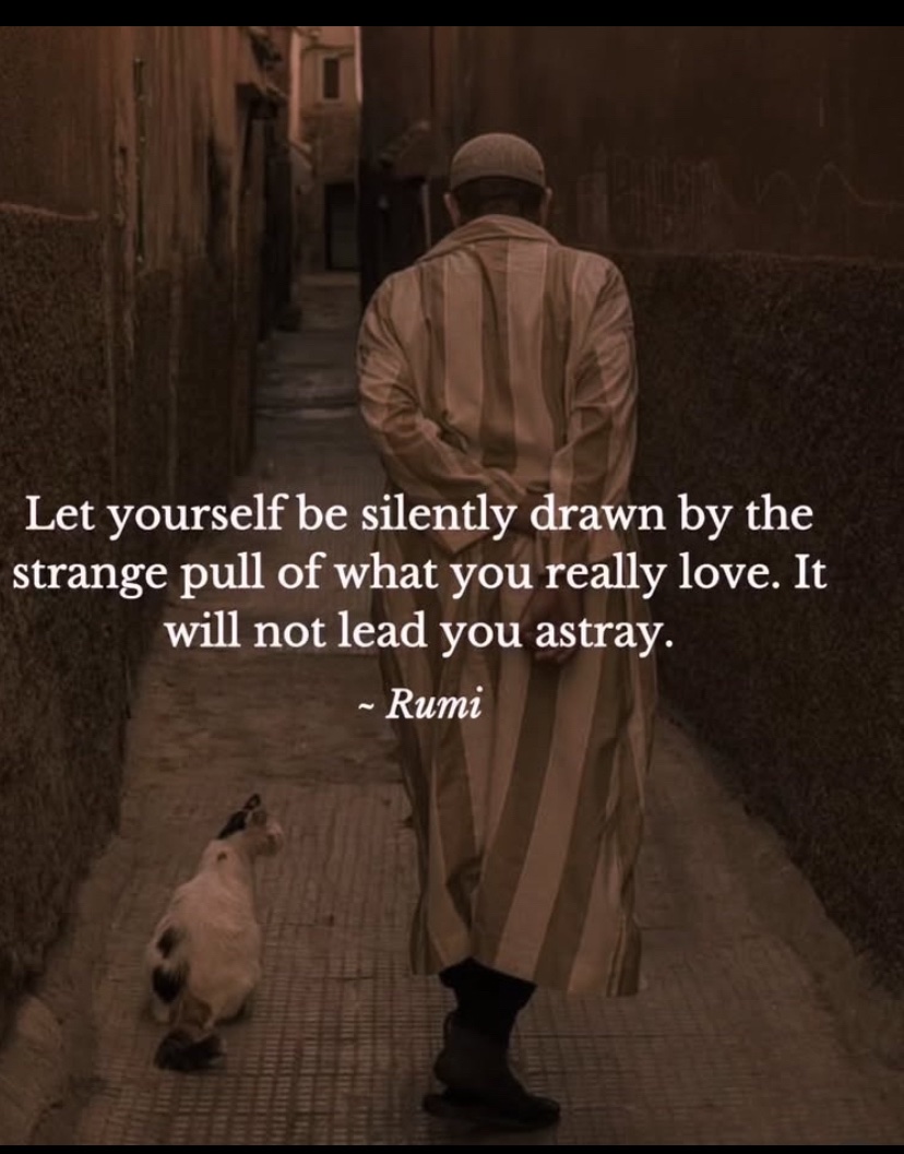 Briana Corrigan (@brianacorrigan) on Twitter photo Night Night