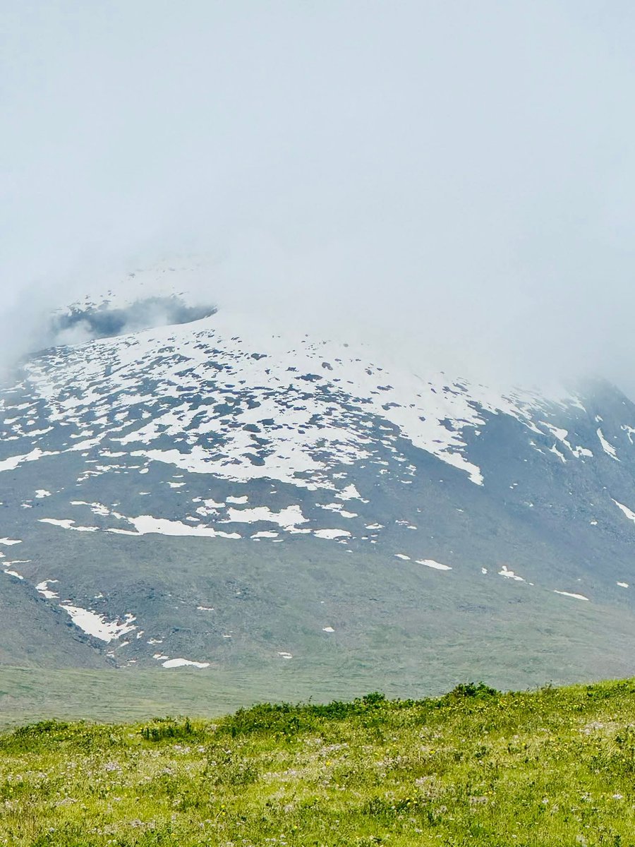 Өглөөний мэнд 

2025. 07.09