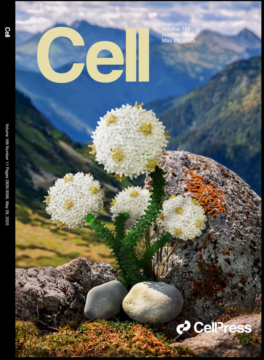 Sudipta Mondal, PhD (@sudiptaccmb) on Twitter photo #NotTheCover <a href="/CellPressNews/">Cell Press</a> ...but, we’re still pretty proud of it! 😄 Had an awesome time putting this together with the amazing Krista and <a href="/RaphaelPark7/">Raphael (Donghyun) Park</a> What a ride! 🚀
#SciArt #CryoET #CryoEM
Paper👉 cell.com/cell/fulltext/… #NotTheCover <a href="/CellPressNews/">Cell Press</a> ...but, we’re still pretty proud of it! 😄 Had an awesome time putting this together with the amazing Krista and <a href="/RaphaelPark7/">Raphael (Donghyun) Park</a> What a ride! 🚀
#SciArt #CryoET #CryoEM
Paper👉 cell.com/cell/fulltext/…