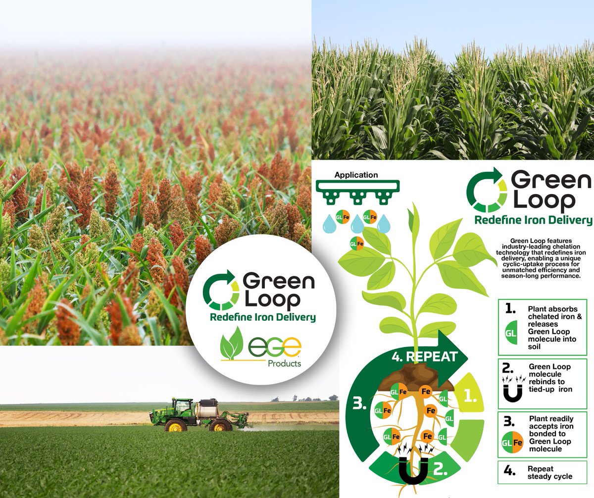 egebio's tweet image. Prevent and correct iron chlorosis by providing season-long iron availability through a cyclic-uptake mechanism with Green Loop! Apply with any standard agricultural application.

#GreenLoop #IronChlorosisSolution #HealthyCrops #EGEProducts #StayInTheLoop