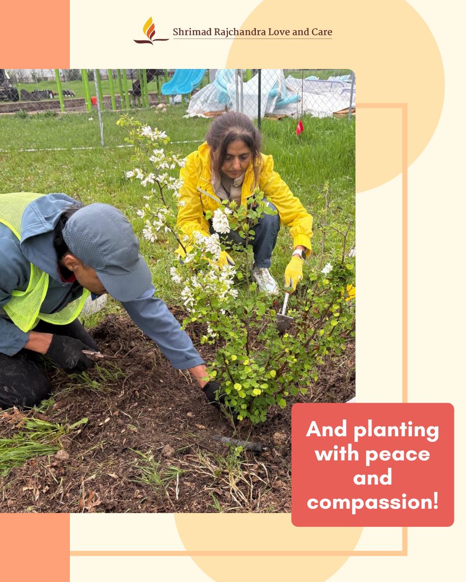 As the weather warms, our SRLC USA volunteers are cleaning streets, planting greens, and reconnecting with the Earth. ☀️💛

This summer, let’s all nourish our environment 🌱💚

#SRLC #Environment #Community