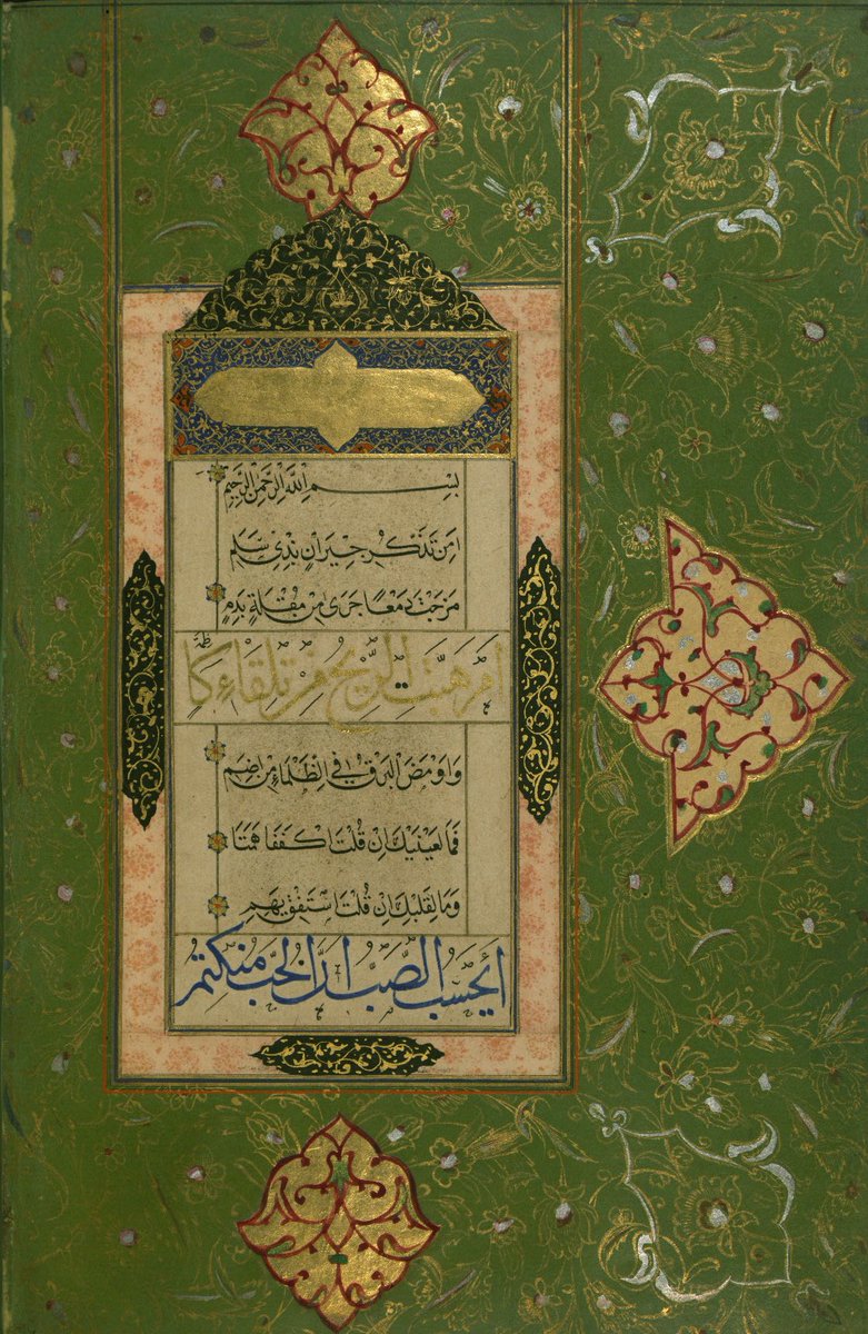 حليمة tweet media