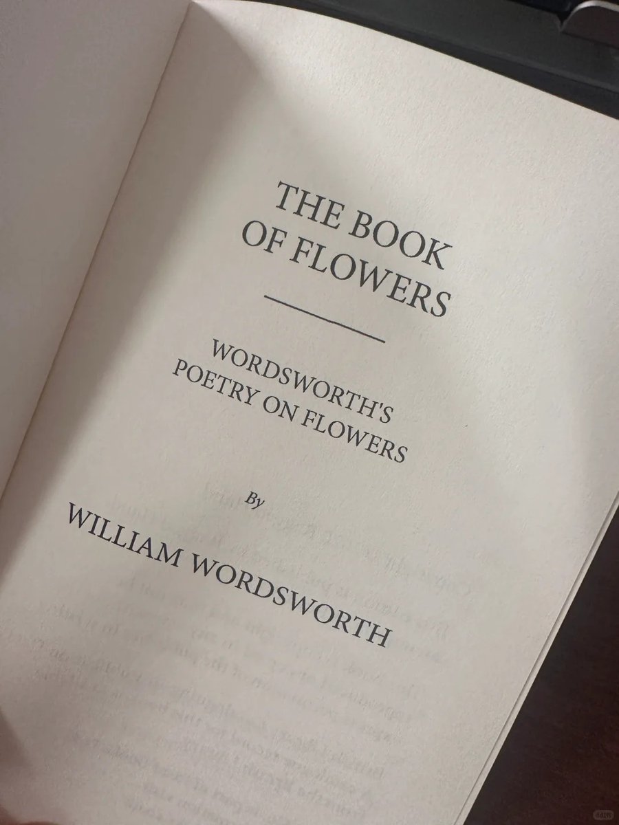 Lara😘 tweet media