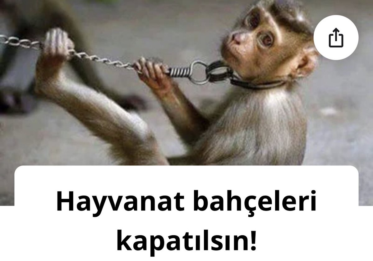 Biliyoruz kapatılmaz ama tarafımız  tavrımız belli olsun.!! #HayvanatBahçeleriKapatılsın