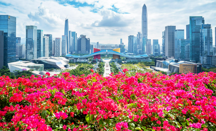 find it particularly funny how a lot of "The World if X"/"How Society Would Look" utopia memes basically look just like Shenzhen, China