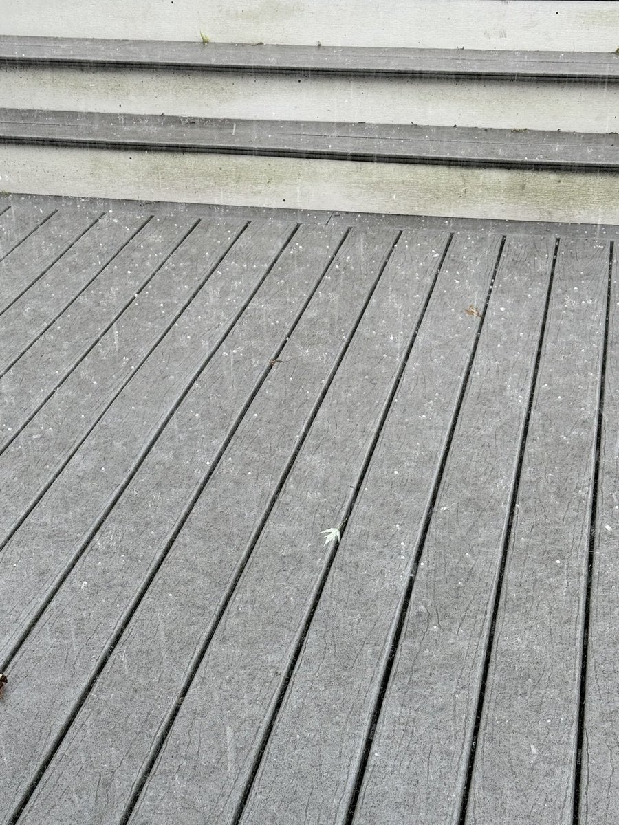 Kim Bengala Hansen tweet media