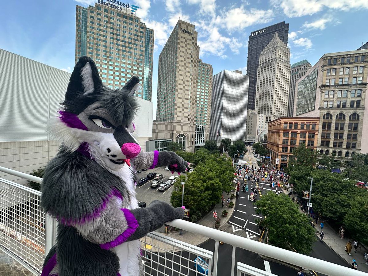 Daz πΊπ π AC (@daz_vega_) on Twitter photo Look at all the tiny animals!
πΈ <a href="/_harpertea/">Harper/Dulce | π Anthrocon</a>
π§΅ <a href="/TwistedLeopard/">β¨πΎTwisted Leopard πΎβ¨</a> Look at all the tiny animals!
πΈ <a href="/_harpertea/">Harper/Dulce | π Anthrocon</a>
π§΅ <a href="/TwistedLeopard/">β¨πΎTwisted Leopard πΎβ¨</a>