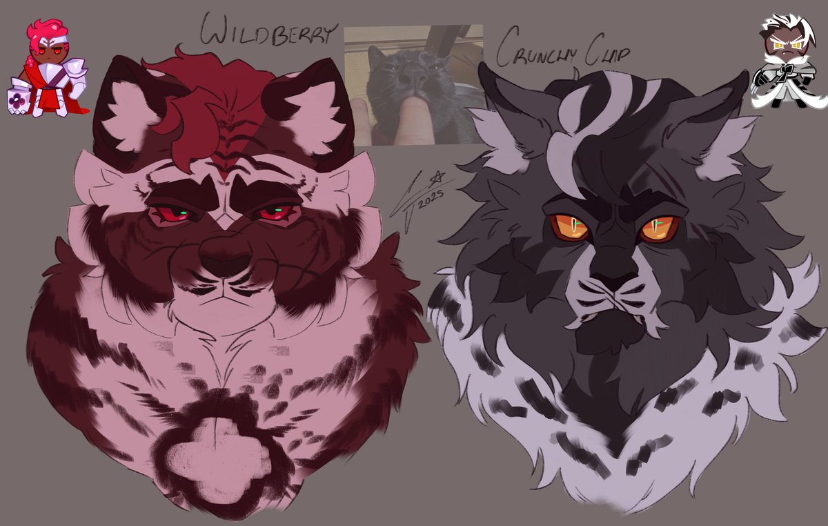 i wanna rub their bellies #wildchip #warriorcats