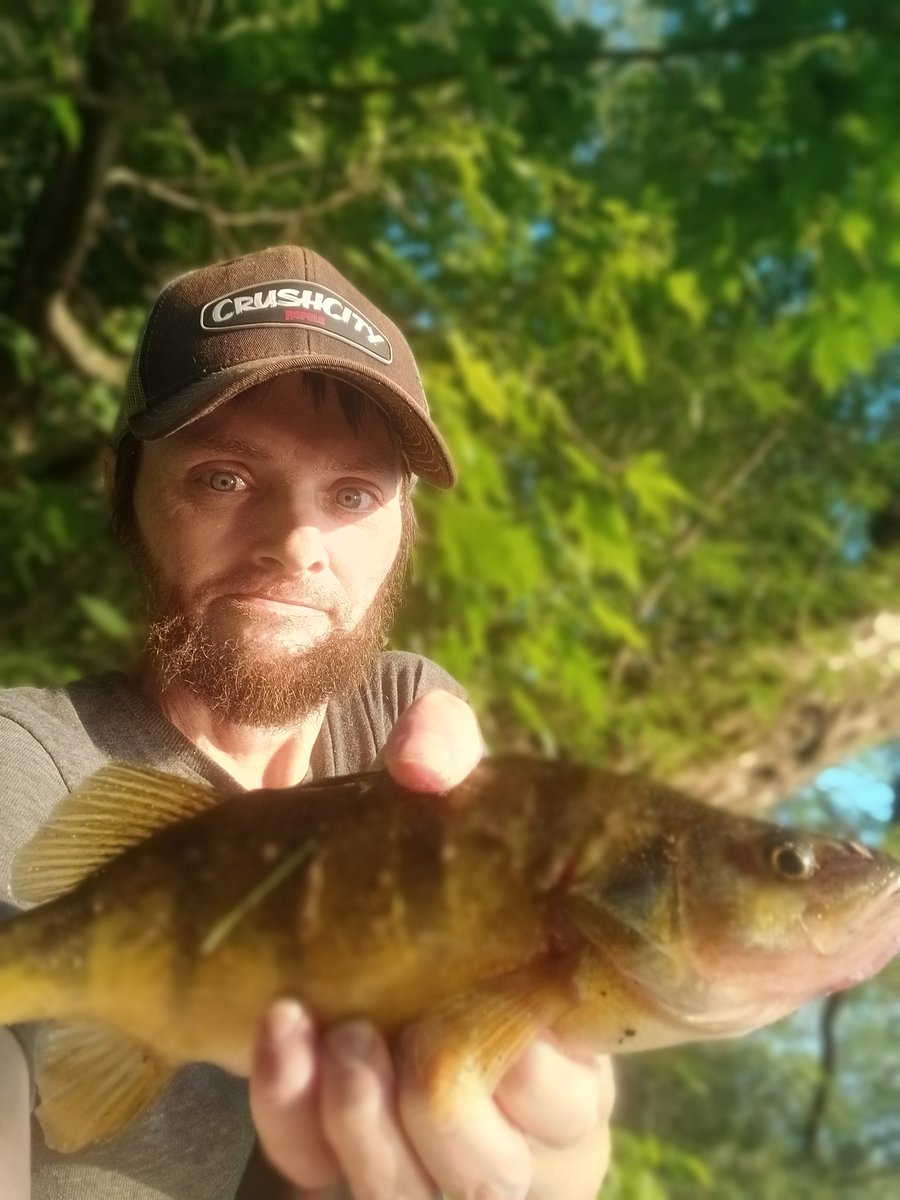 WiStrmChaser's tweet image. Life's going pretty poorly at the moment. Had a brief escape last night on the Chetek chain of lakes with a bunch of nice perch, including my second and fourth biggest perch ever.