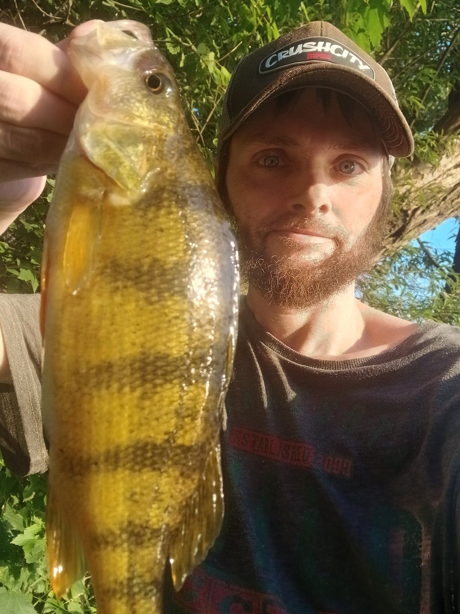 WiStrmChaser's tweet image. Life's going pretty poorly at the moment. Had a brief escape last night on the Chetek chain of lakes with a bunch of nice perch, including my second and fourth biggest perch ever.