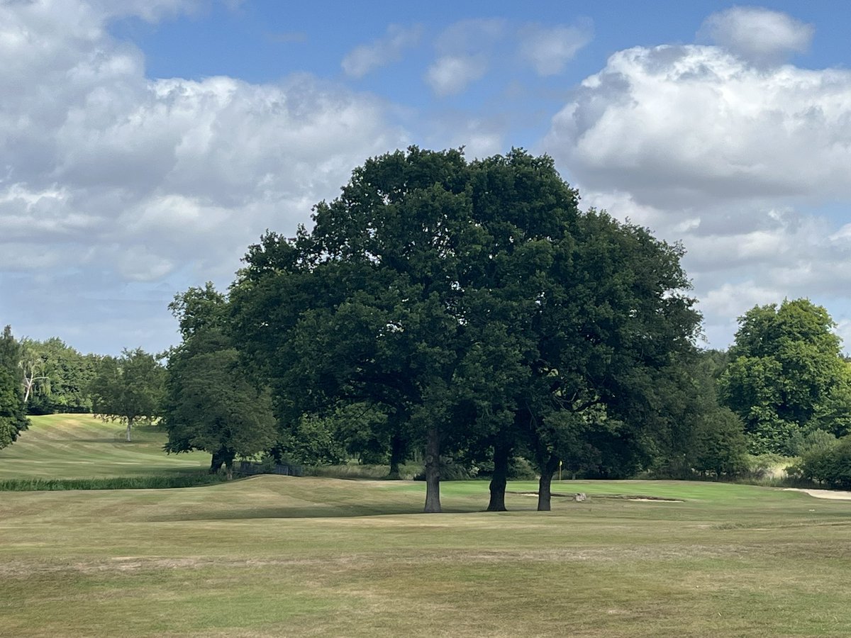 The lovely green islands of some courses are just fabulous- but this extremely dry period is challenging the best of you - stay strong 💪🏻 call if we can help you <a href="/CollierTurfCare/">Collier Turf Care</a> really do care 🥰