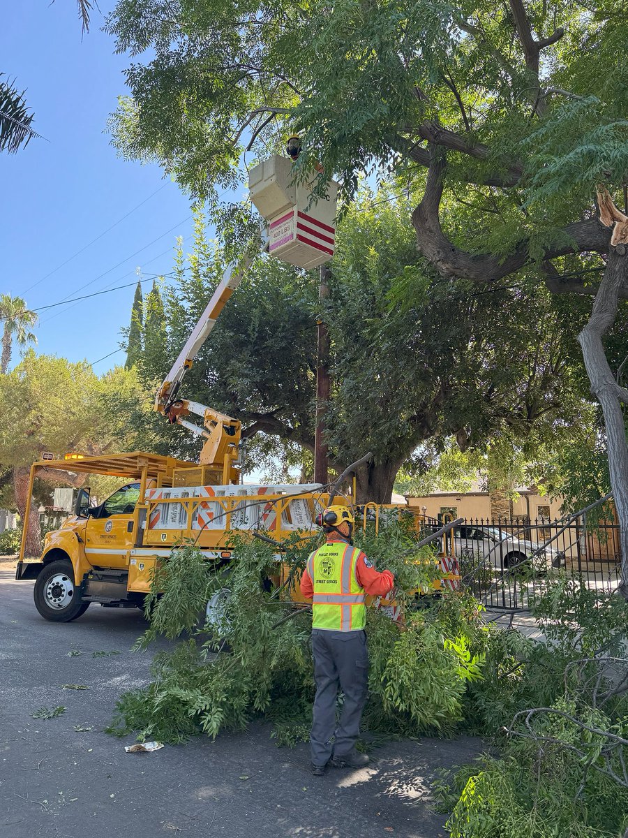 BSSLosAngeles's tweet image. Today the StreetsLA Urban Forestry Division responded to a tree emergency in @cd2losangeles.
Our crew was able to remove a tree branch that was blocking the roadway on the 5200 block of Strohm Ave in North Hollywood.
Thank you for your great work!
#AtYourService
@LACityDPW