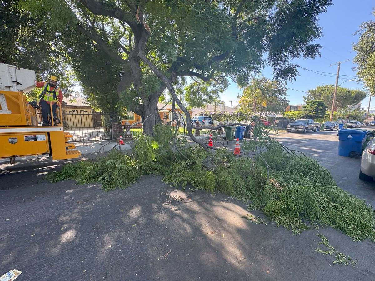 BSSLosAngeles's tweet image. Today the StreetsLA Urban Forestry Division responded to a tree emergency in @cd2losangeles.
Our crew was able to remove a tree branch that was blocking the roadway on the 5200 block of Strohm Ave in North Hollywood.
Thank you for your great work!
#AtYourService
@LACityDPW