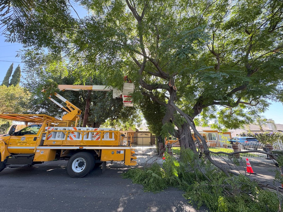 BSSLosAngeles's tweet image. Today the StreetsLA Urban Forestry Division responded to a tree emergency in @cd2losangeles.
Our crew was able to remove a tree branch that was blocking the roadway on the 5200 block of Strohm Ave in North Hollywood.
Thank you for your great work!
#AtYourService
@LACityDPW
