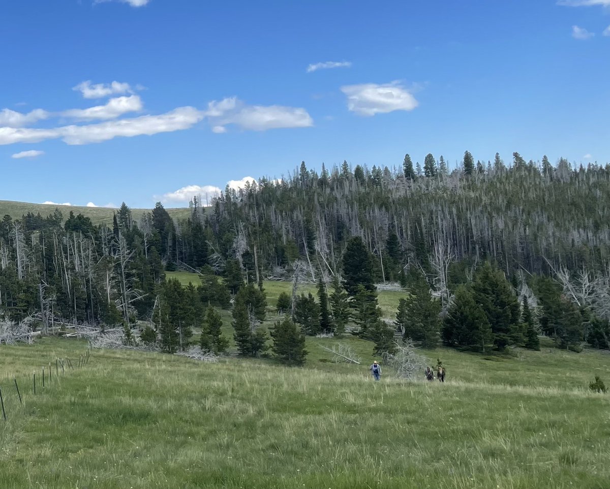 RealScottWolter's tweet image. SV research in Montana using drone, metal detector, and boots on the ground retracing Meriwether Lewis’ steps in July of 1806. All done under the sacred, watchful eye of the Great Architect of the Universe.