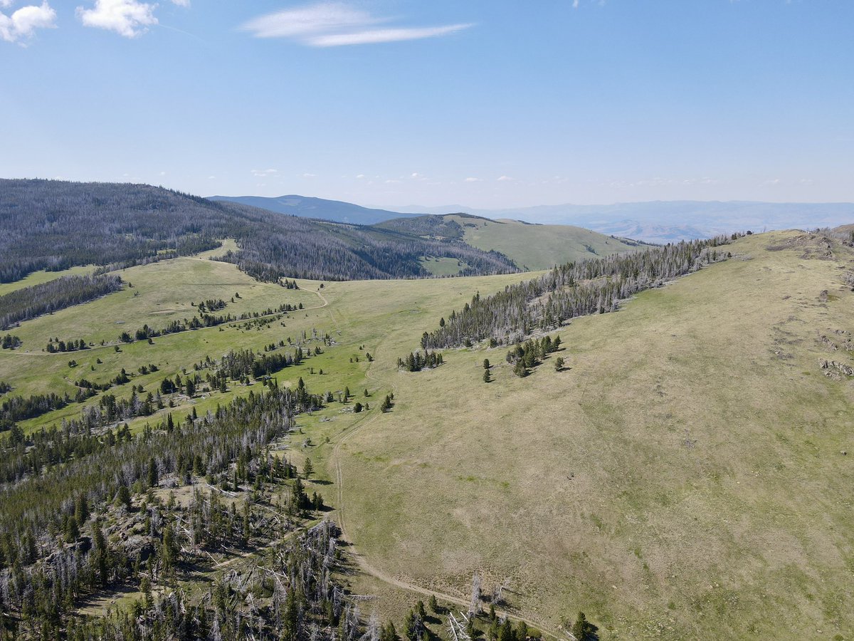 RealScottWolter's tweet image. SV research in Montana using drone, metal detector, and boots on the ground retracing Meriwether Lewis’ steps in July of 1806. All done under the sacred, watchful eye of the Great Architect of the Universe.