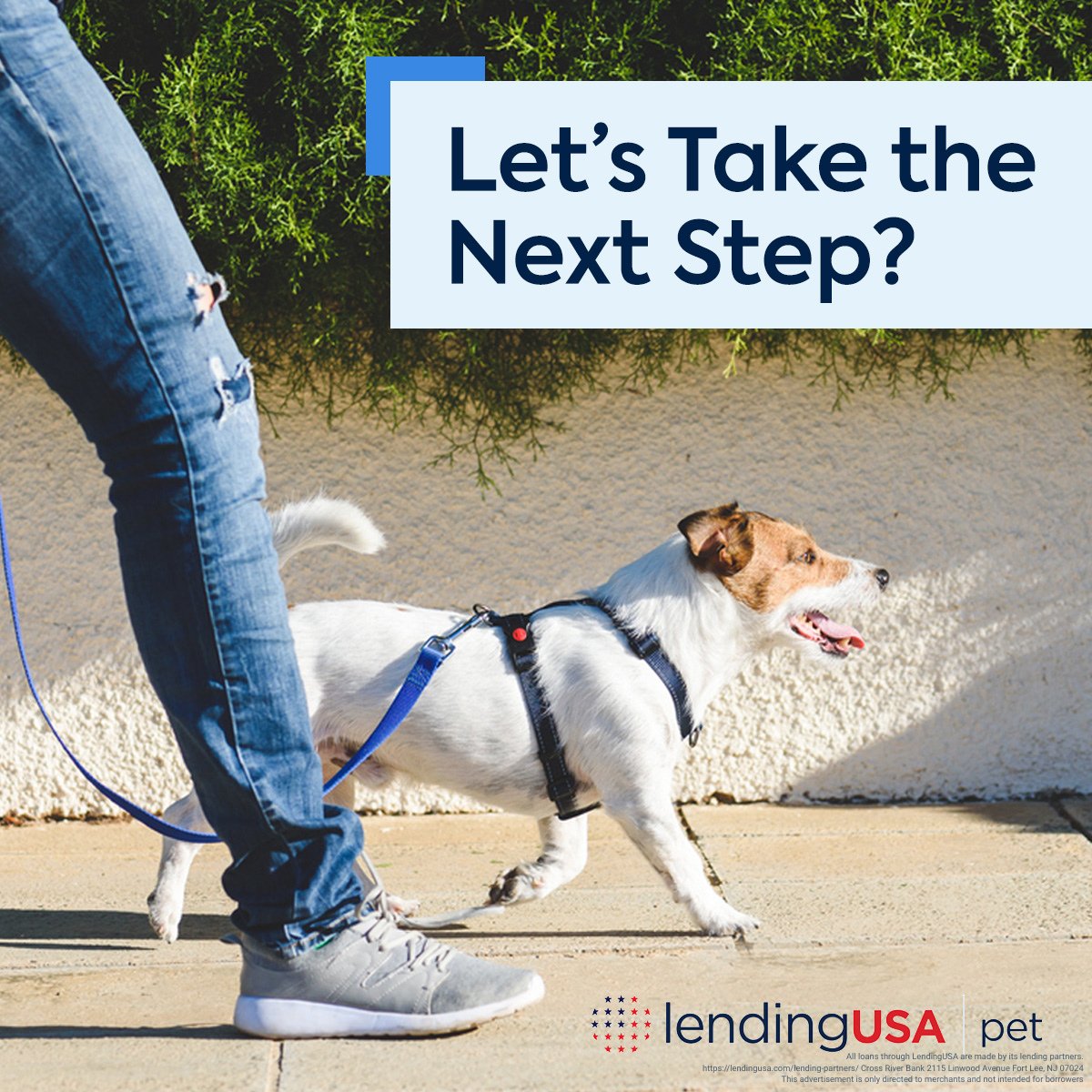 LendingUSA's tweet image. Attention Pet Trainers!

Offer clients 3-month Zero Interest financing + auto-pay to make payments easier and reduce defaults. Let’s grow your business together 💼🐾 Book a demo: zurl.co/Fb47l

#LendingUSA #PetTrainers #FinancingForGrowth #ClientFinancing #ZeroInterest