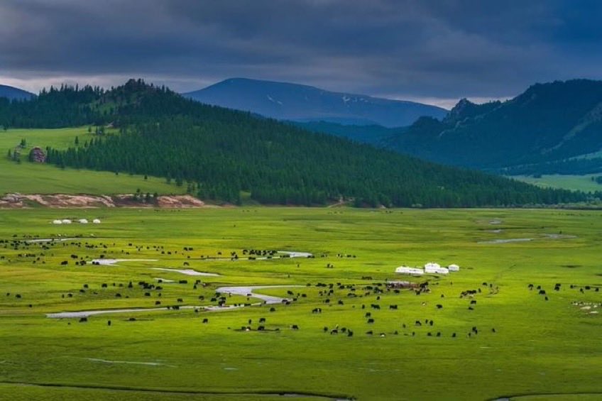 Өглөөний мэнд хүргэе.2025.07.09. Лхагва гариг.