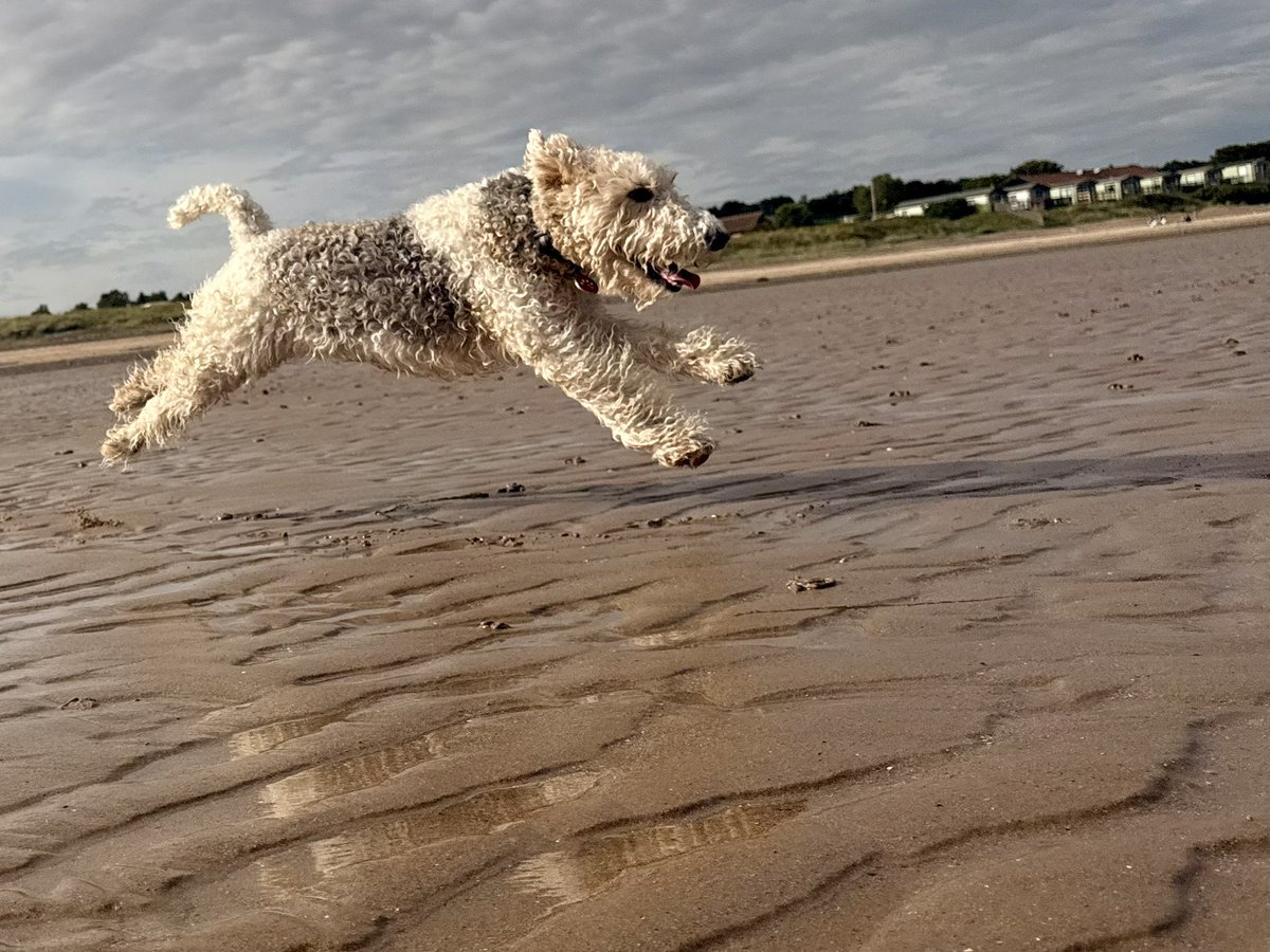More beach action this evening.
