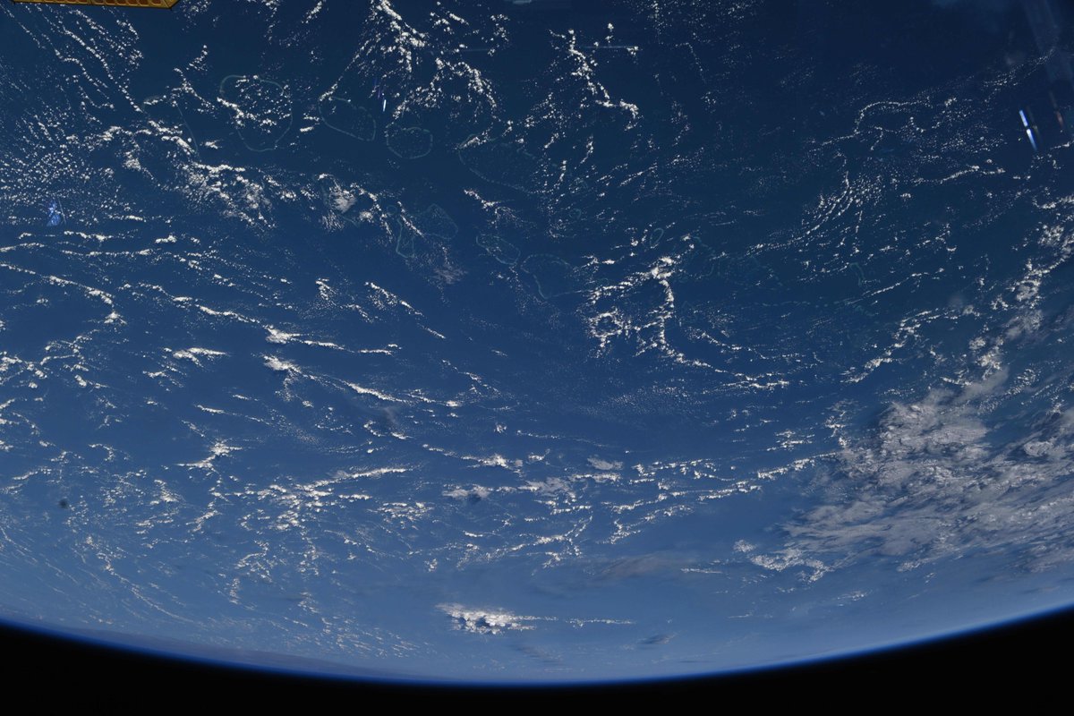 astro_Pettit's tweet image. From orbit, atolls of the Maldives look like thin irregular rings.
Can you spot them in this image?