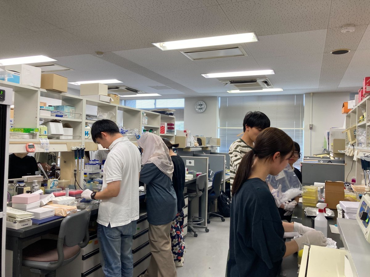 NAIST_BS's tweet image. 今年もたくさんのM1が入ってくれました！ようこそ別所研へ！
#遺伝子発現制御研究室 #別所研 #NAISTバイオ
