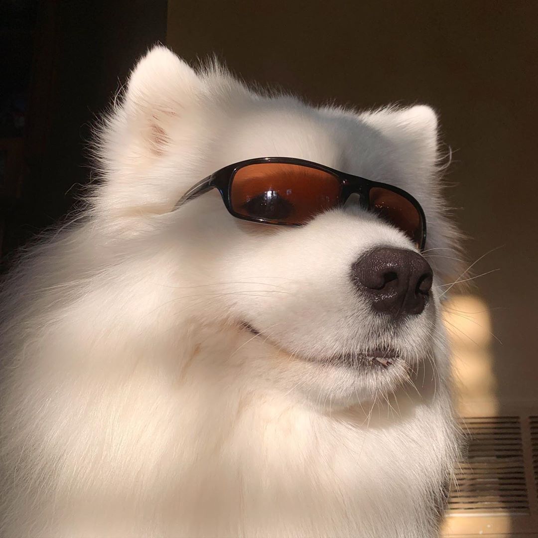 👉🍙
What’s a goal you’re after now?