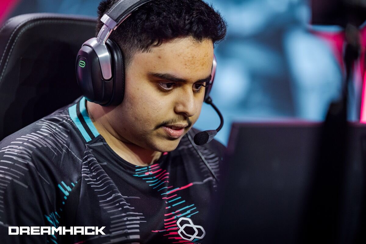 Monarchs 🔙🔜 tweet media