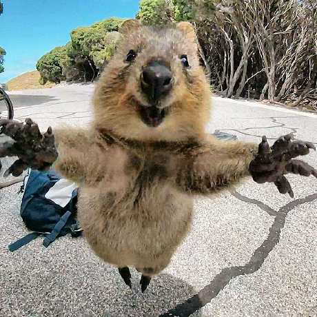 Taco Stand tweet media