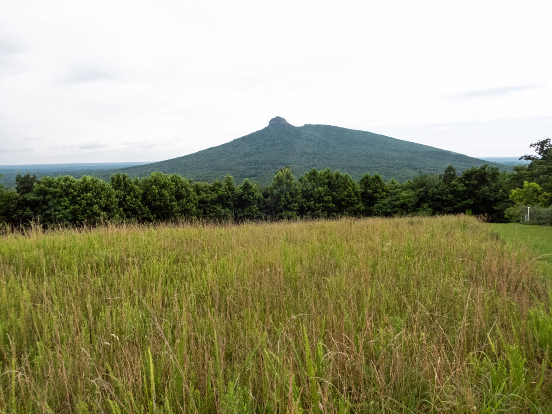 FromTheKelv's tweet image. Went gathering stories for my oral history book on Pilot Mountain the last few days. Yona FrenchHawk returned to continue the summer solstice ceremony that was very moving. Kathy George took the image of Yona at the overlook while birds flew right over our heads.