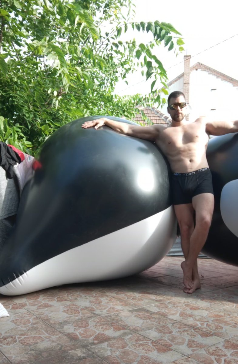 NandezHernande2's tweet photo. I know everything is about the IW whale but I have other inflatables , in the future I will show them, be healthy and horny everybody 😛
#inflatable #feish https://t.co/XfmVUF2mqc