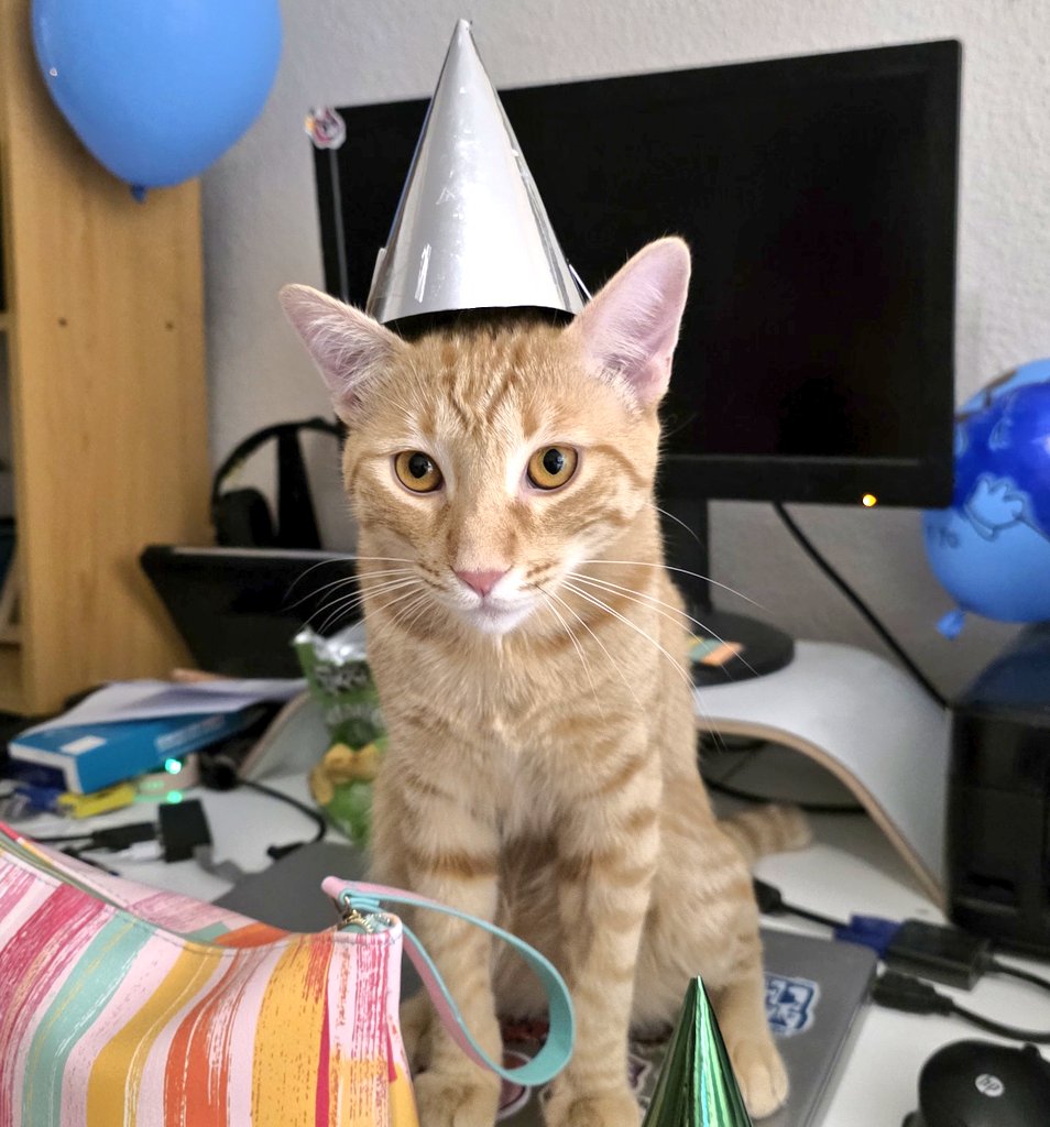 Samuel (@samigurt) on Twitter photo 