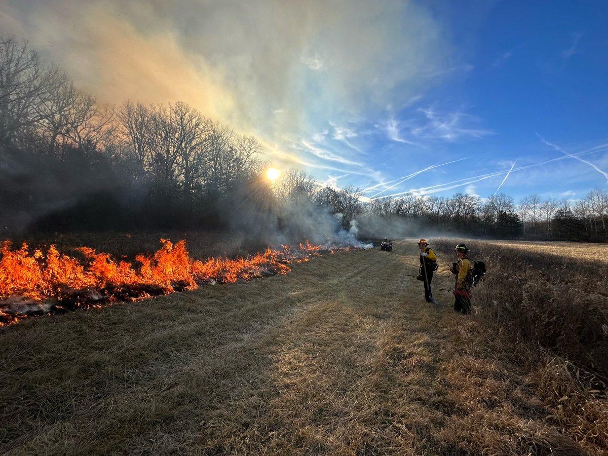 Quail Forever & Pheasants Forever in Missouri (@missouriqf) on Twitter photo 🚨 We’re hiring! Join the new Tri-State Mining District Habitat Crew in SW Missouri!
🔥 4 Habitat Specialists + 1 Crew Leader
🌿 Fieldwork includes fire, invasives, and habitat restoration
Apply now 👉 quailforever.org/jobs
#HabitatJobs #ConservationCareers #QuailForever 🚨 We’re hiring! Join the new Tri-State Mining District Habitat Crew in SW Missouri!
🔥 4 Habitat Specialists + 1 Crew Leader
🌿 Fieldwork includes fire, invasives, and habitat restoration
Apply now 👉 quailforever.org/jobs
#HabitatJobs #ConservationCareers #QuailForever