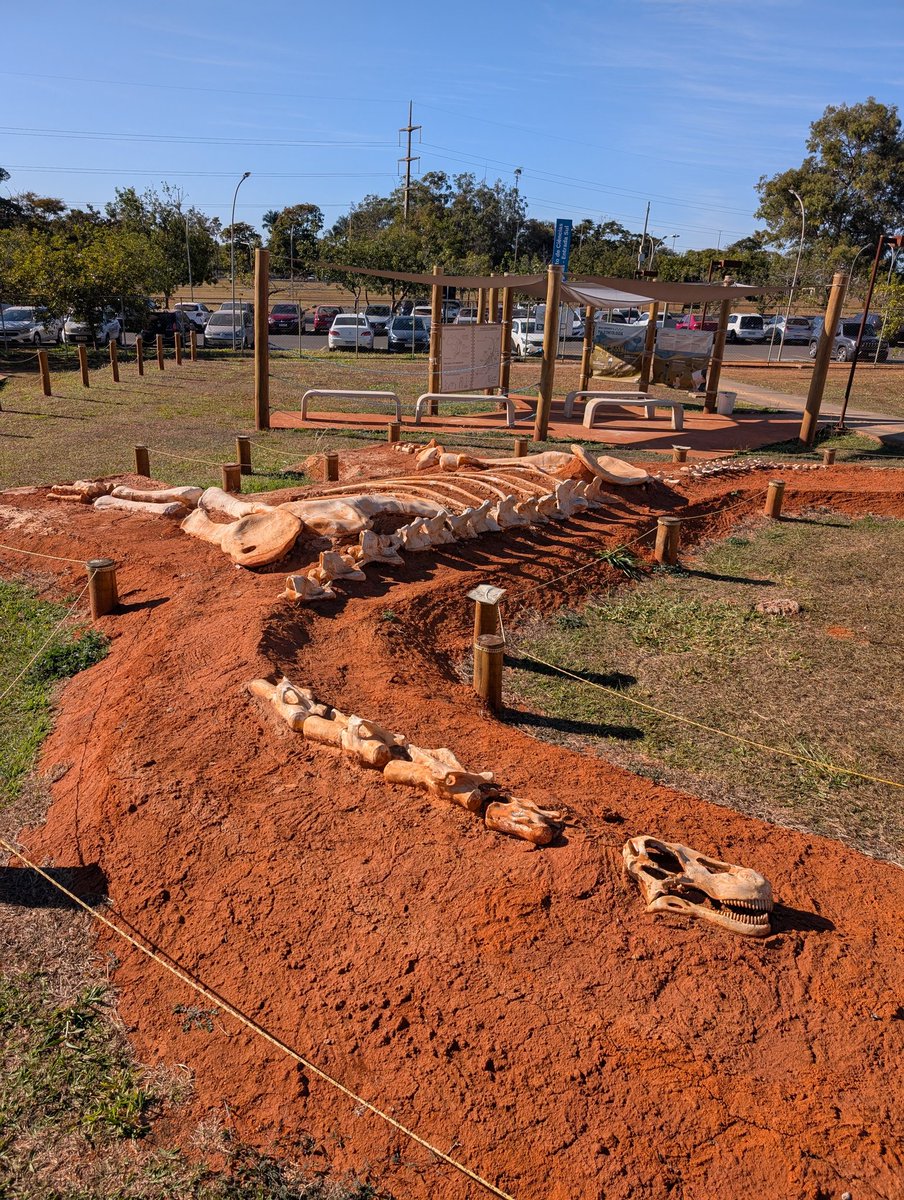 Hanging around Universidade de Brasília over the next days! But hunting much smaller creatures than this with my PhD students Daniel Vasquez-Restrepo and Izabel Salvi