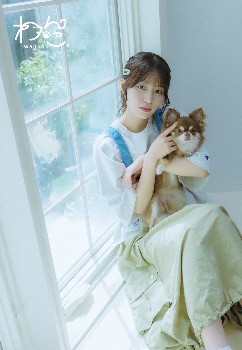 gekkan_wanko's tweet image. 【月刊わんこvol.20（7/15発売号）】≠MEの冨田菜々風さんが初登場。愛犬・きずなちゃん（きぃちゃん）の話になると、ふにゃっと笑顔を浮かべる冨田さんに、ロングコートチワワのここあちゃんもすぐに心を許してくれた様子。息ぴったりの２ショットがたっぷり詰まったページになりました。 #ノイミー…