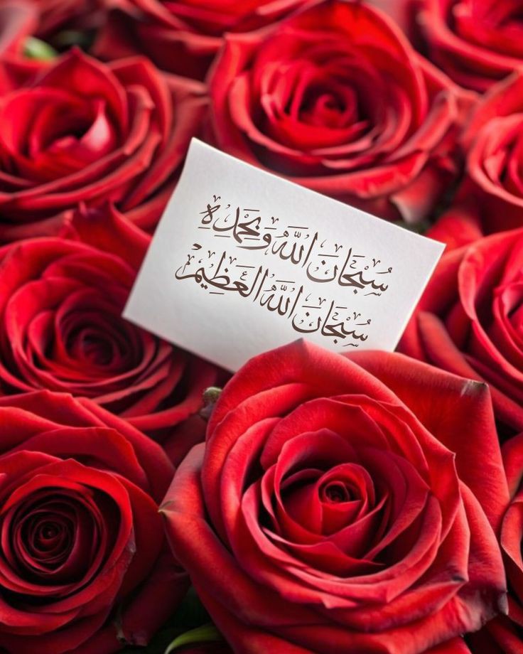 🌿 السلامُ علیکم ورحمة الله وبركاته 🌿
💛 صـبـــــــــــــح بـــــخــــیــــــــر 💛    

”كلمتان خفيفتان على اللسان ثقيلتان في الميزان؛ أذكرهما عساهما تشفعان لك❤️🪷 “
 
سُبْحَﭑنَﷲً͜وبحَـــــــمّدِھِْ'🫧🫧 سُبْحَﭑنَﷲ͜ﭑلعَظِيّـــــــــﻣ'🌹

#اذكروا_الله_يذكركم🫶🏻🪷
.
.
