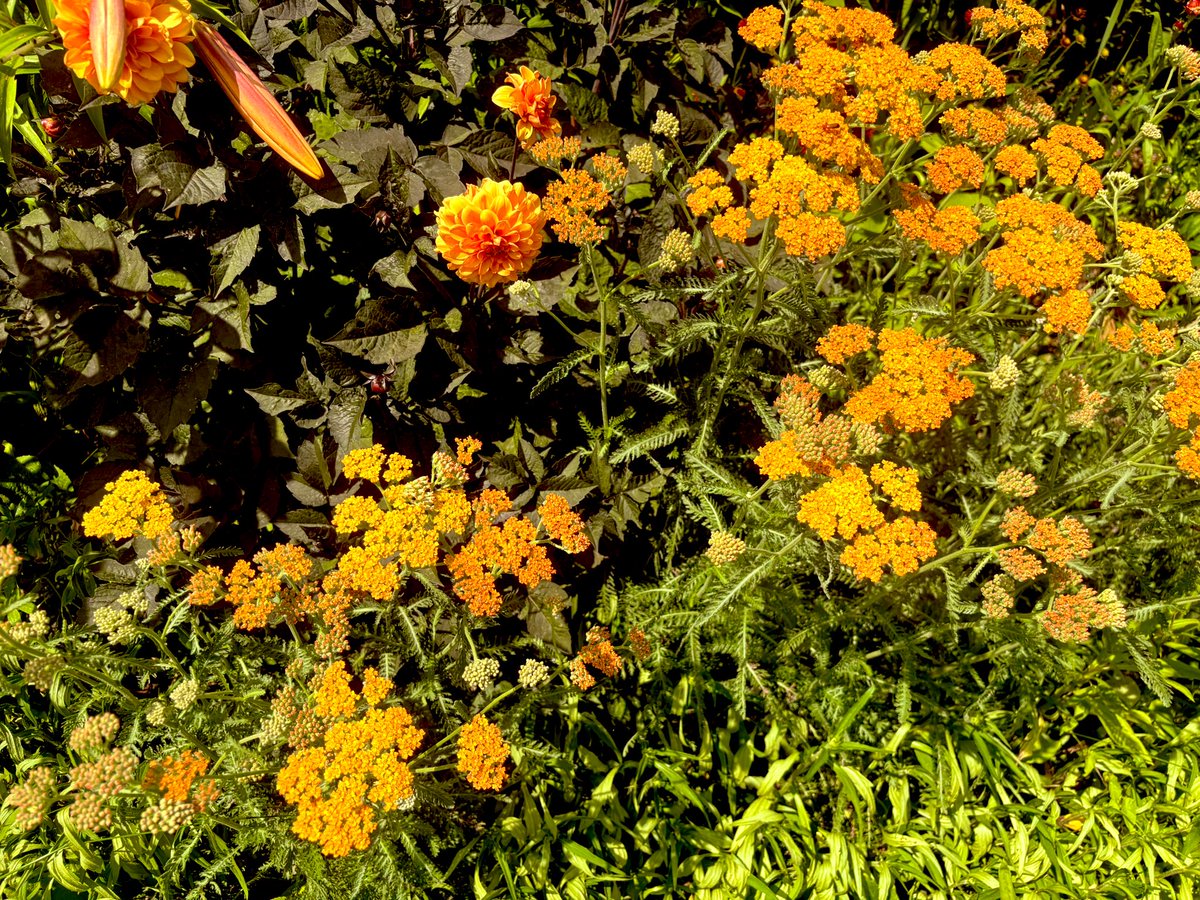 The earth laughs in flowers.

Ralph Waldo Emerson