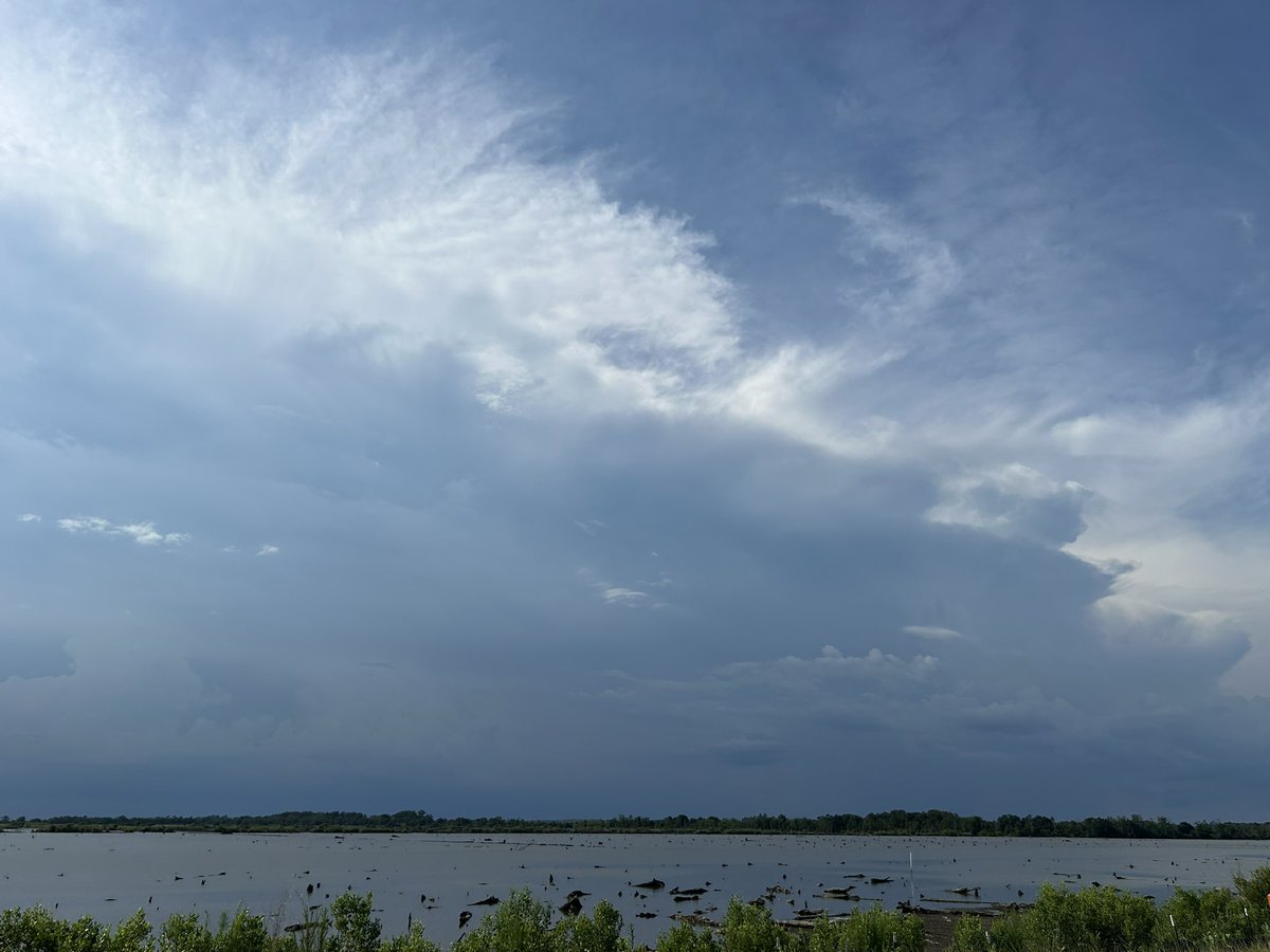 StormRider912's tweet image. Storms building into #SouthCarolina this evening #SCwx #SCwxCond @NWSCharlestonSC @jnelsonWJCL @WSAVAlysaC @AndrewGortonWx @SheaGibsonWx