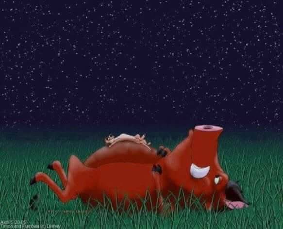 - هي بتروح فين أحلامنا اللي محققنهاش يا تيمون؟
- بتروح لناس تانية عمرهم ما حلموا بيها يا بومبا.