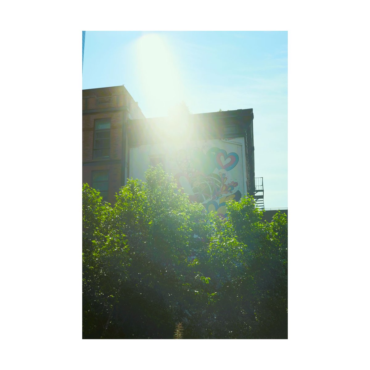 showmeNY2's tweet image. GFX50R
MINOLTA M-Rokkor 40mm f/2.0